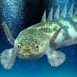 Biểu tượng My ancient fish Aquarium
